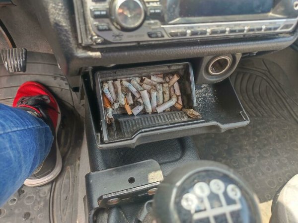 They Can't Borrow Things (15 pics)