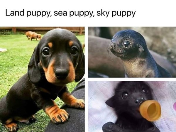 Kind Posts And Photos (29 pics)