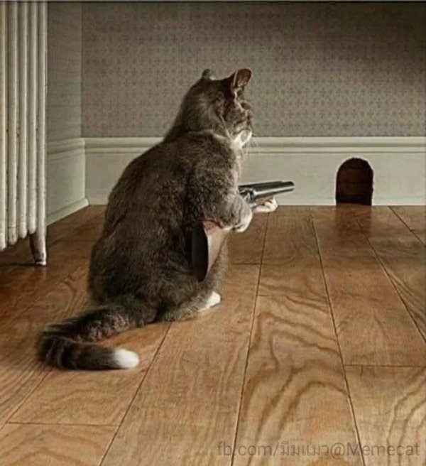 What Is Going On Here? (34 pics)
