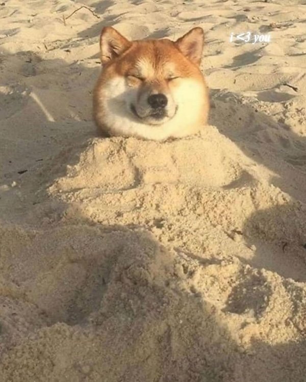 Photos For Good Mood (30 pics)