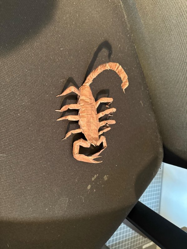 Interesting Finds And Discoveries (24 pics)