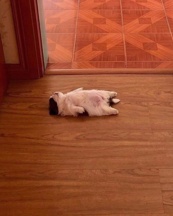 Photos For Good Mood (30 pics)