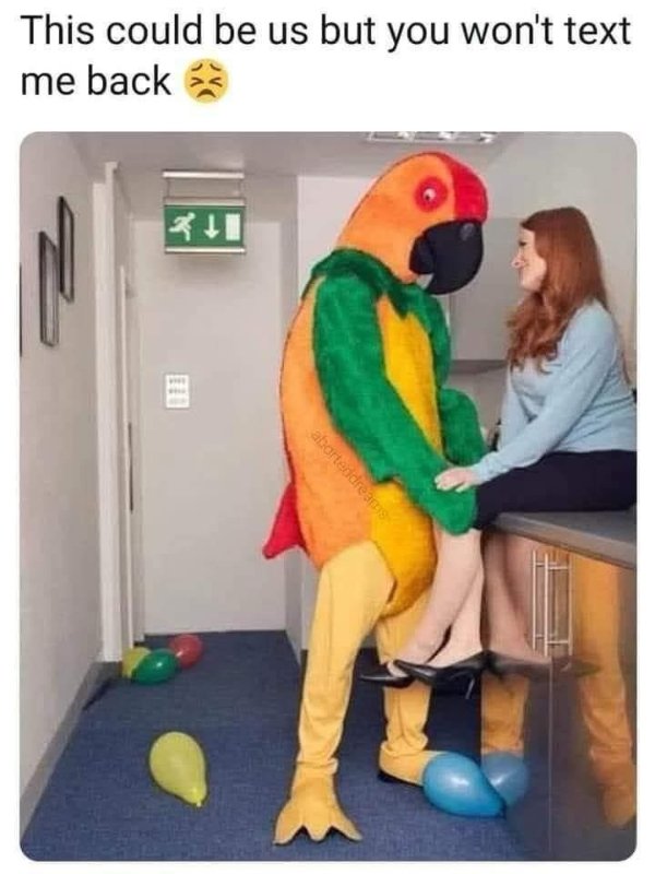 Funny Memes (17 pics)