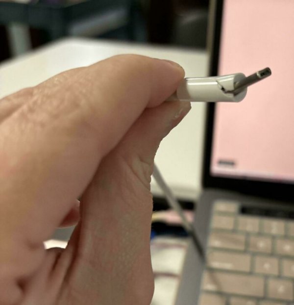 They Can't Borrow Things (15 pics)