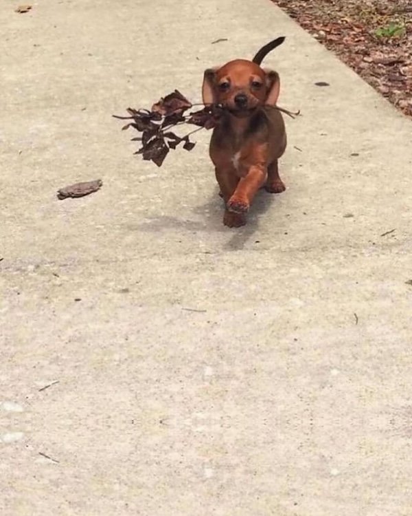 Photos For Good Mood (30 pics)