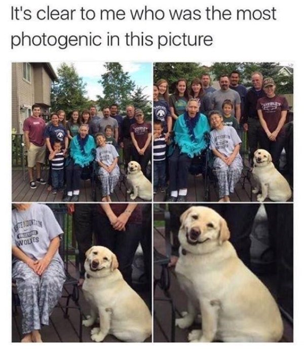 Kind Posts And Photos (29 pics)
