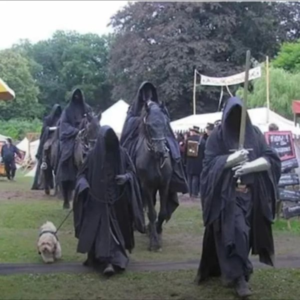 What Is Going On Here? (34 pics)