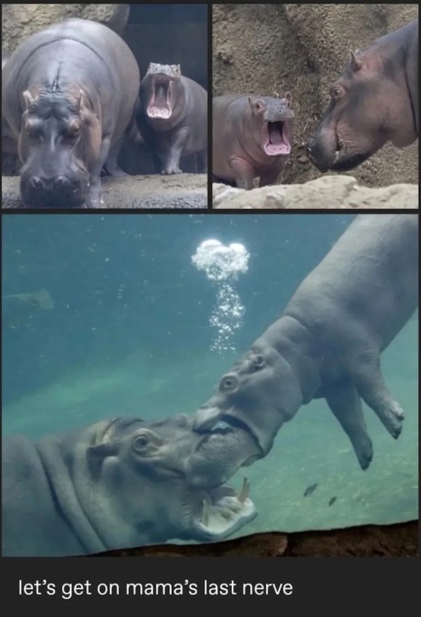 Photos For Good Mood (30 pics)