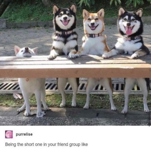 Kind Posts And Photos (29 pics)