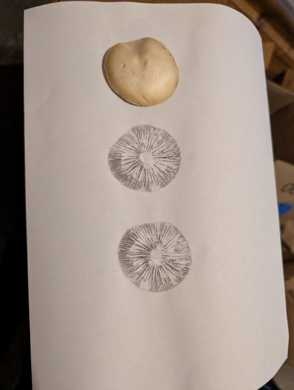 Interesting Finds And Discoveries (24 pics)