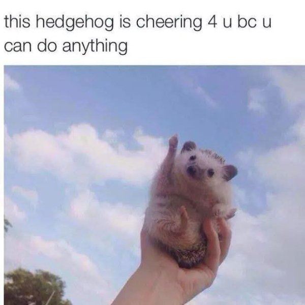 Kind Posts And Photos (29 pics)