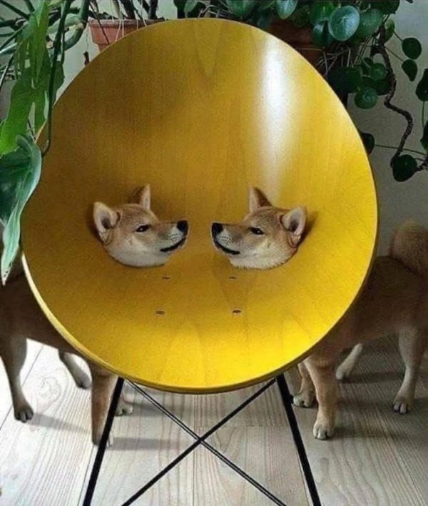What Is Going On Here? (34 pics)