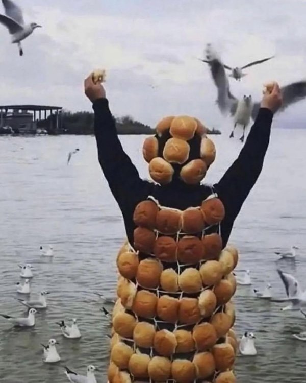 Photos For Good Mood (30 pics)
