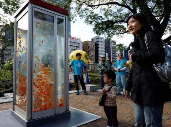 Unusual Urban Infrastructure (22 pics)