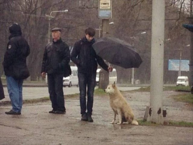 Heartwarming Posts And Photos (20 pics)