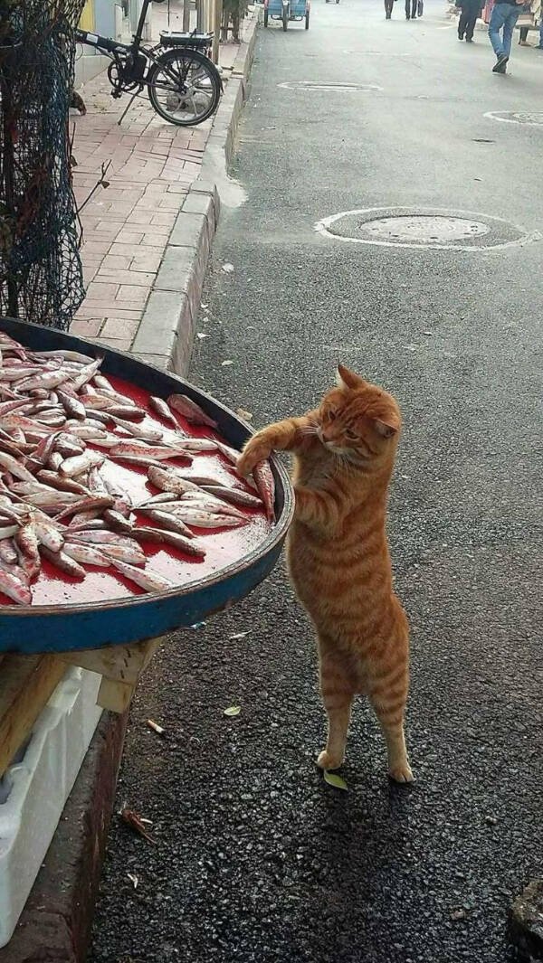 Heartwarming Posts And Photos (20 pics)