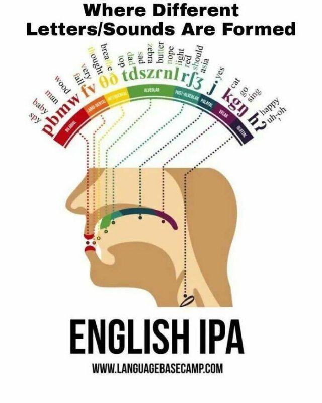 Fascinating Maps And Data (21 pics)
