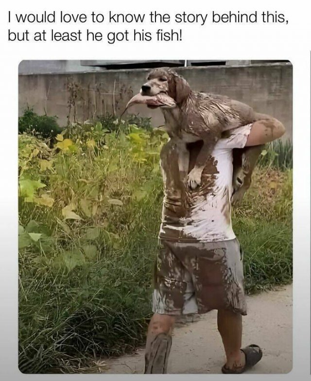 Posts For Dogs Lovers (24 pics)