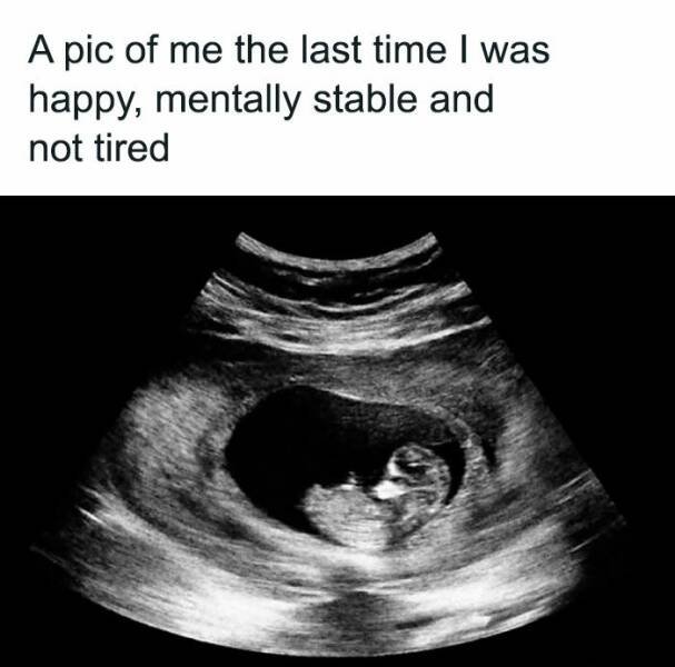 Sarcastic Jokes (22 pics)