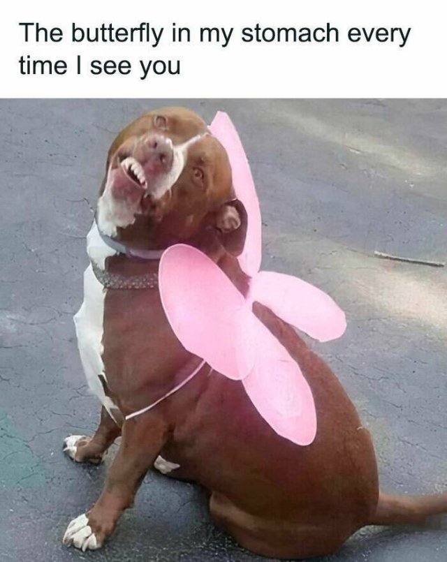 Sarcastic Jokes (22 pics)