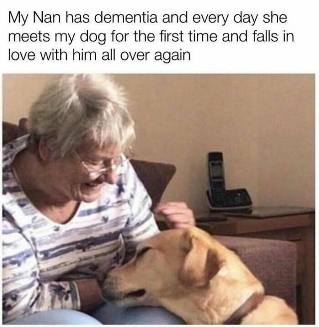 Posts For Dogs Lovers (24 pics)