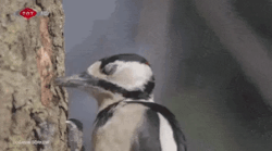 Unexpected Phrases During A Feast (15 gifs) Unexpected Phrases During A Feast (15 gifs)