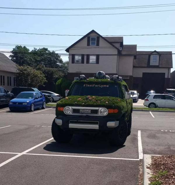 Crazy Cars (28 pics)