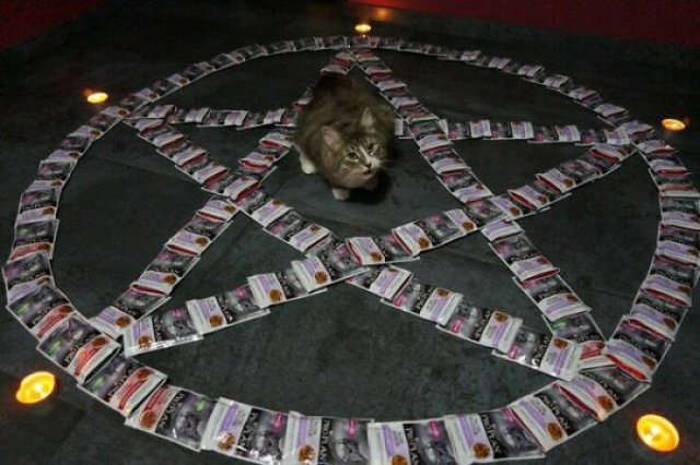 ''Cursed'' Photos (24 pics)