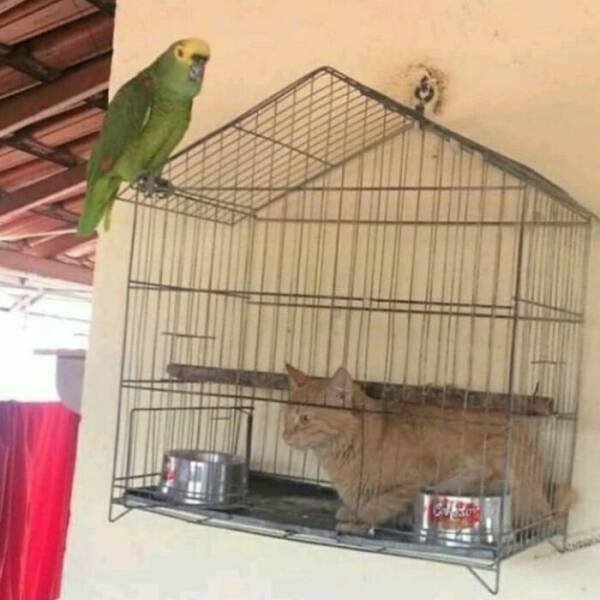 Strange Finds (27 pics)