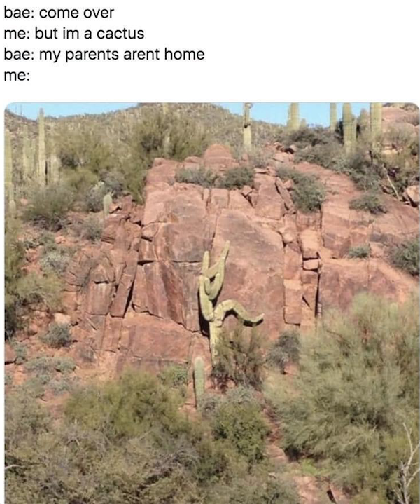 Hilarious Jokes (36 pics)