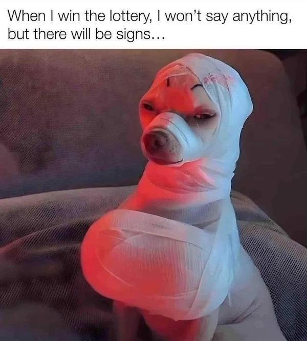 Hilarious Jokes (36 pics)