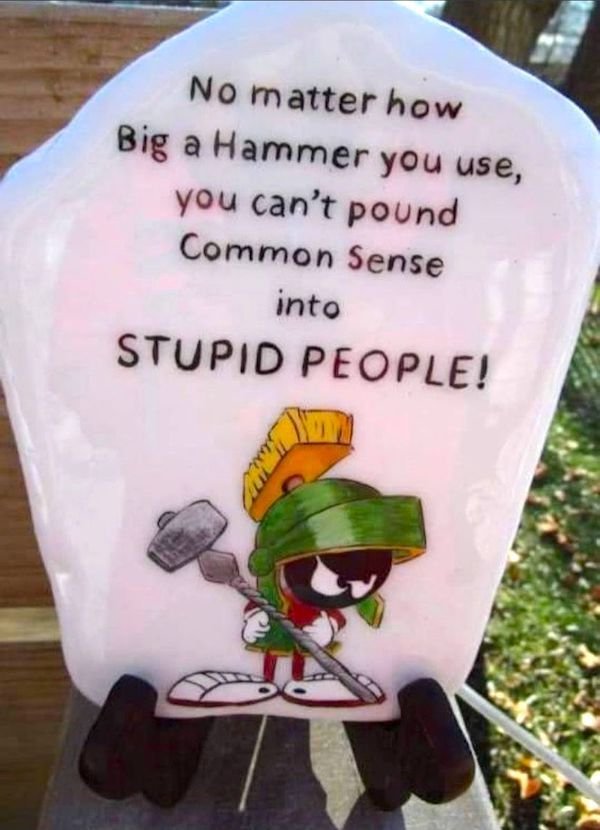 Hilarious Jokes (36 pics)