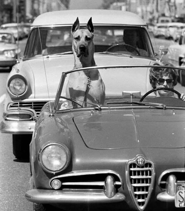 Rare Historical Photos (24 pics)