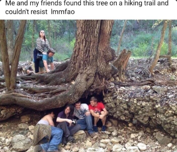 Memes For ''The Lord Of The Rings'' Fans (33 pics)