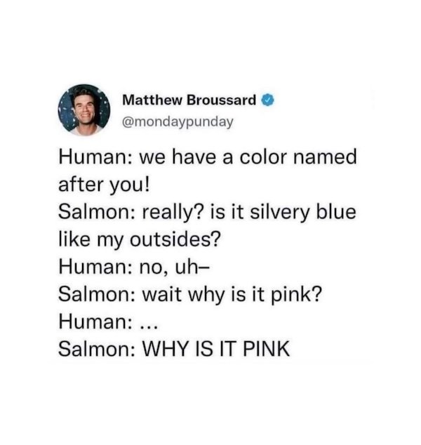 Funny Memes (30 pics)