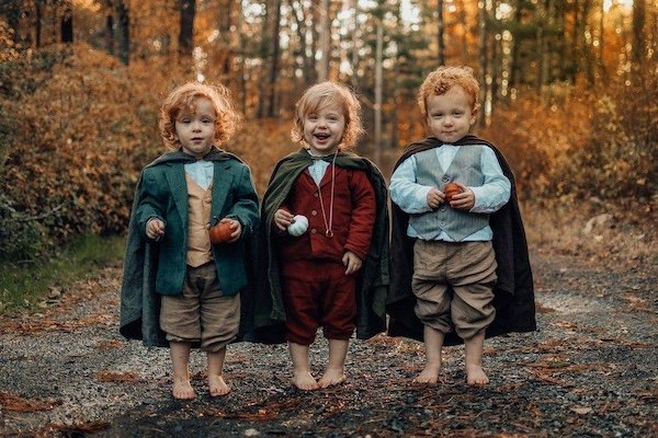 Memes For ''The Lord Of The Rings'' Fans (33 pics)