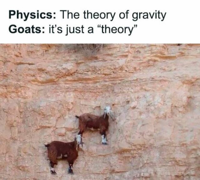 Jokes For Physics Fans (22 pics)