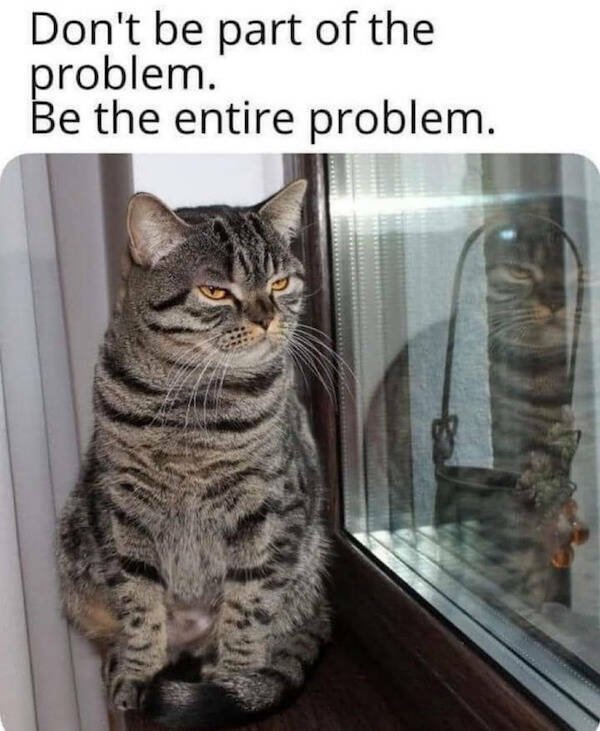 Funny Memes (15 pics)