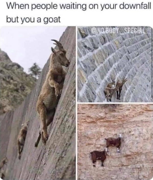 Funny Memes (15 pics)