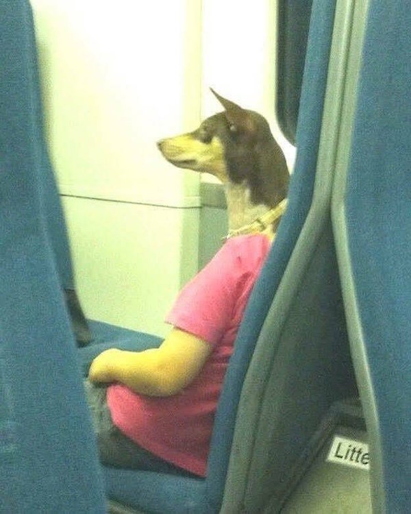 Strange People In The Subway (38 pics)