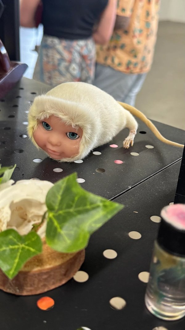 Weird Finds (22 pics)