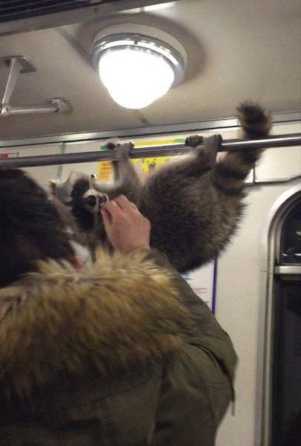Strange People In The Subway (38 pics)