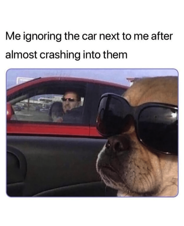 Memes For Dog Lovers (23 pics)
