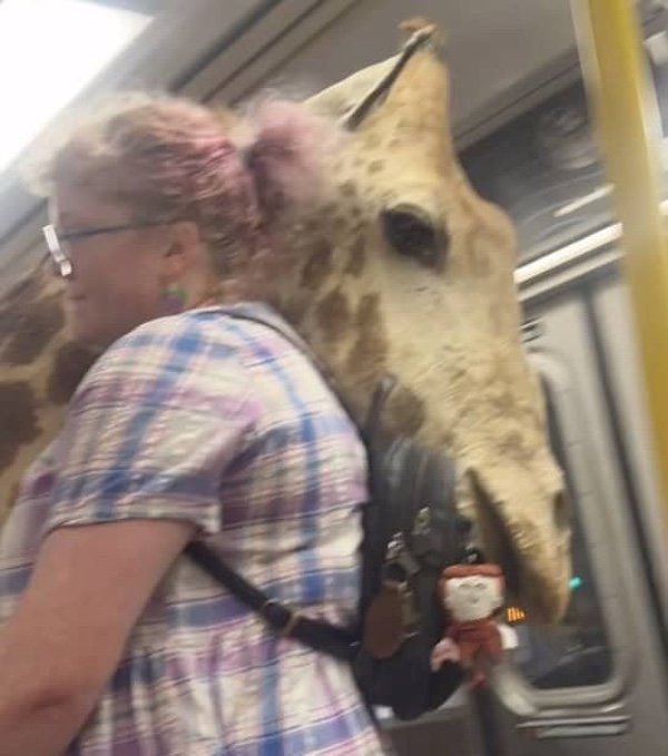 Strange People In The Subway (38 pics)