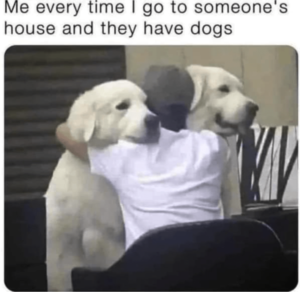 Memes For Dog Lovers (23 pics)