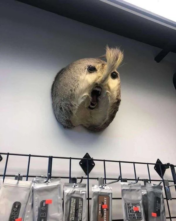 Weird Finds (22 pics)