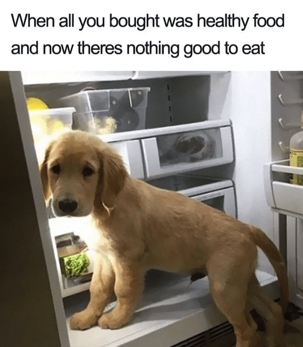 Memes For Dog Lovers (23 pics)