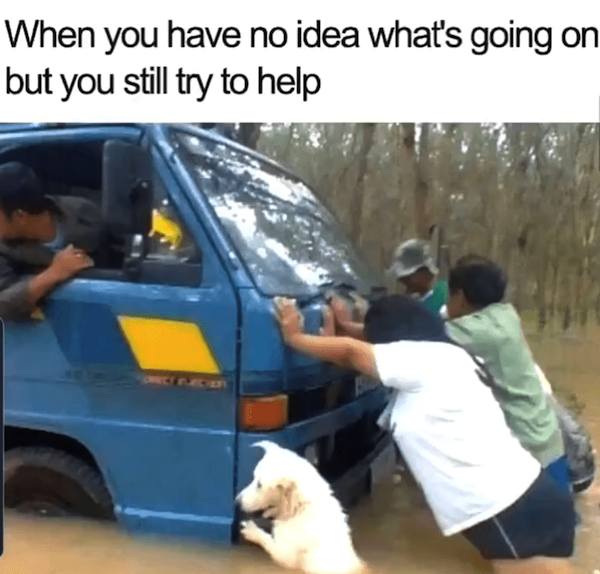 Memes For Dog Lovers (23 pics)