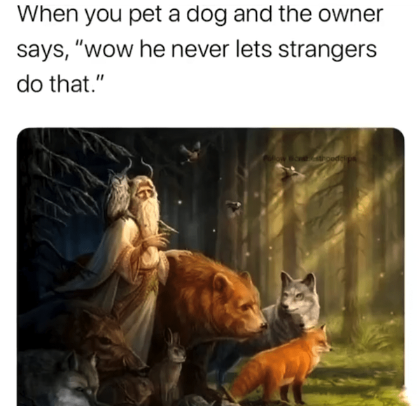 Memes For Dog Lovers (23 pics)