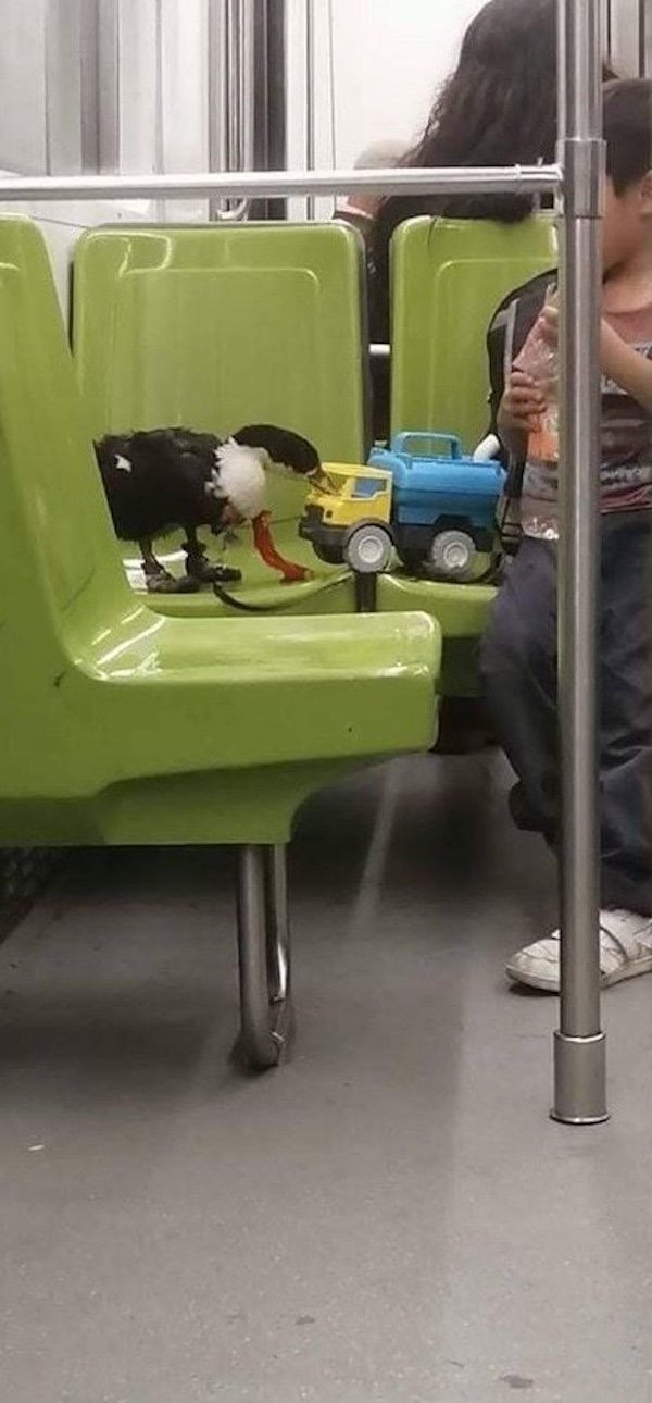 Strange People In The Subway (38 pics)